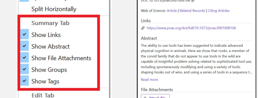 EndNote 2025 Summary Panel